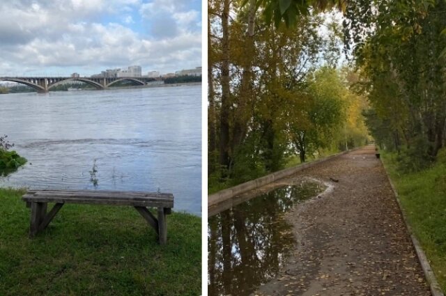    Набережная завалена листьями, а одинокая серая лавочка смотрит на центр города, словно вспоминая лучшие времена. Фото: АиФ-Красноярск/ Екатерина Беленкова