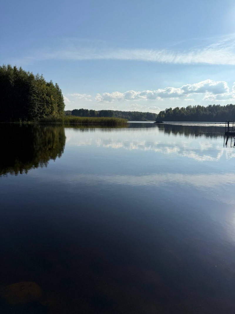    Олег Меньшиков снимается в кино в Карелиителеграм-канал Олега Меньшикова