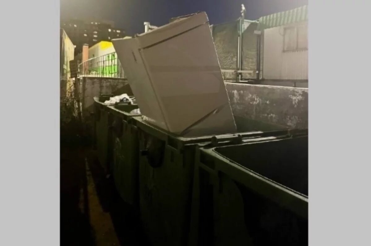    Кто-то из жителей Самары умудрился засунуть в мусорный бак холодильник