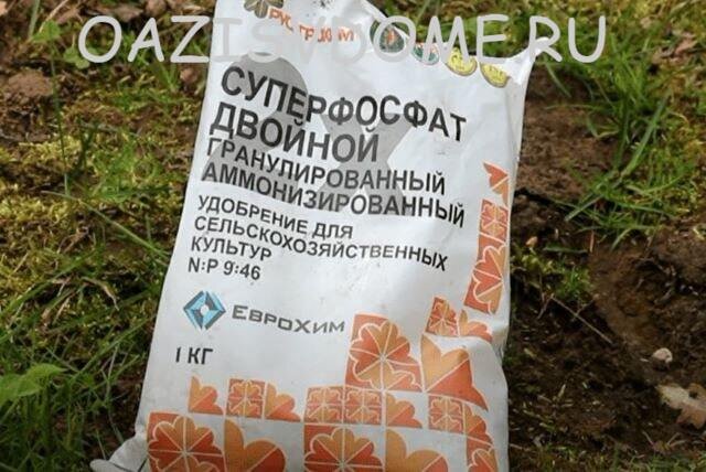 Удобрение Суперфосфат двойной как нельзя лучше подхожит для подкормки кустарников осенью