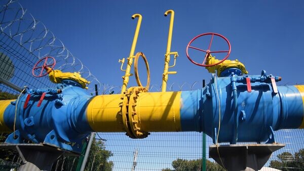    © Sputnik / Максим Богодвид