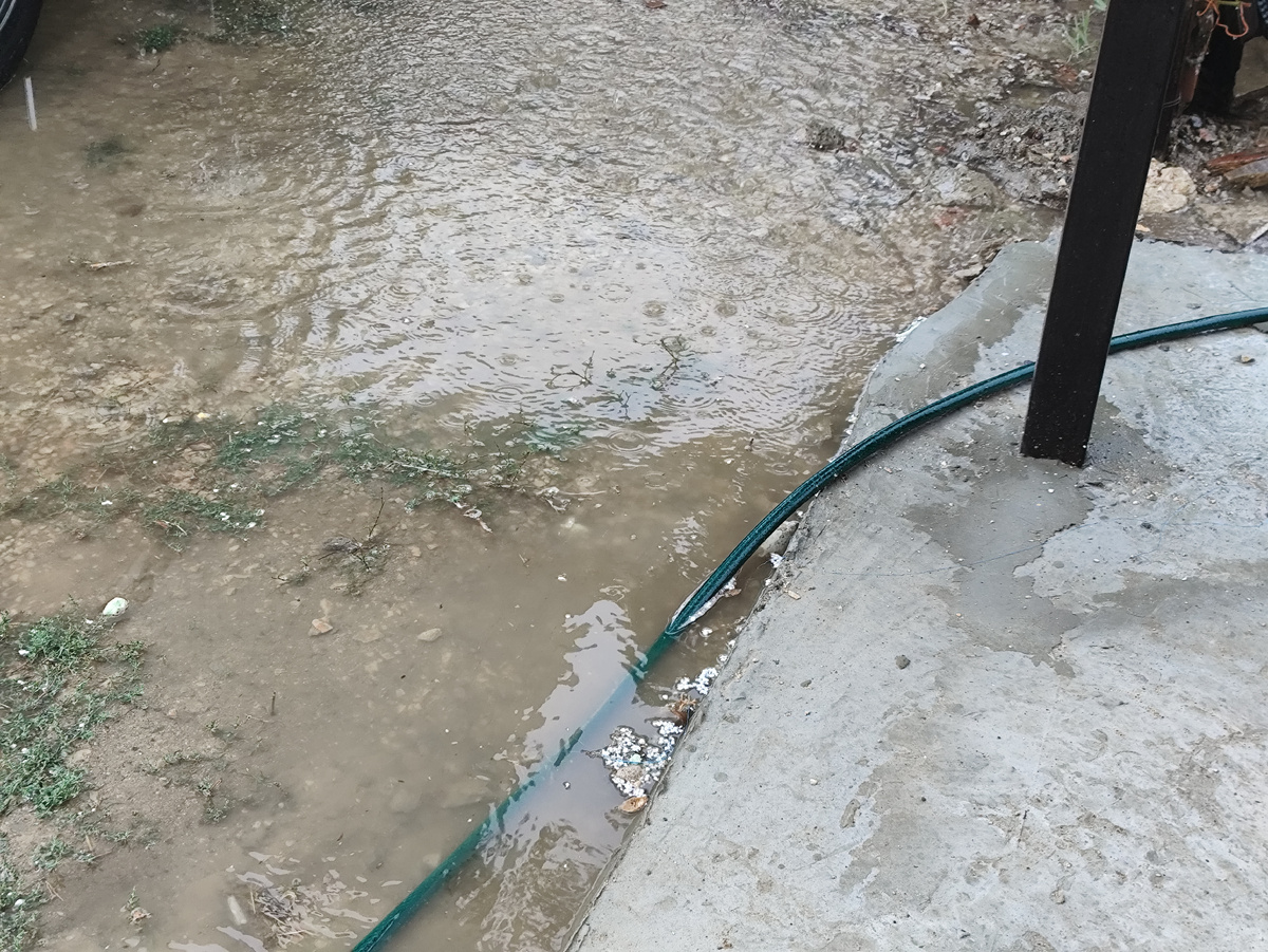 Но на крылечко все рано не попадает. Ура.