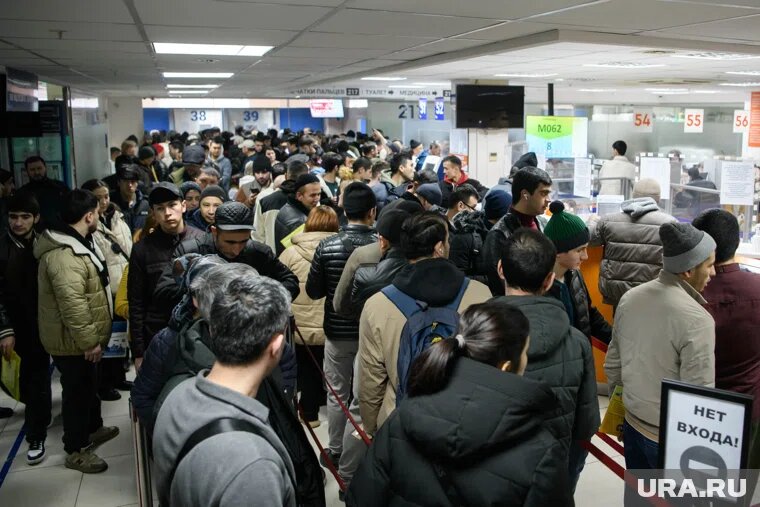 Свинцов считает, что семьям мигрантов нужно запретить въезд в РФ. Фото: Илья Московец © URA.RU