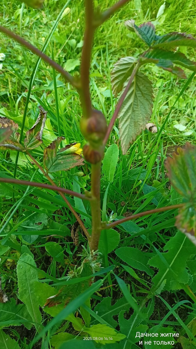 Знакомая обнаружила