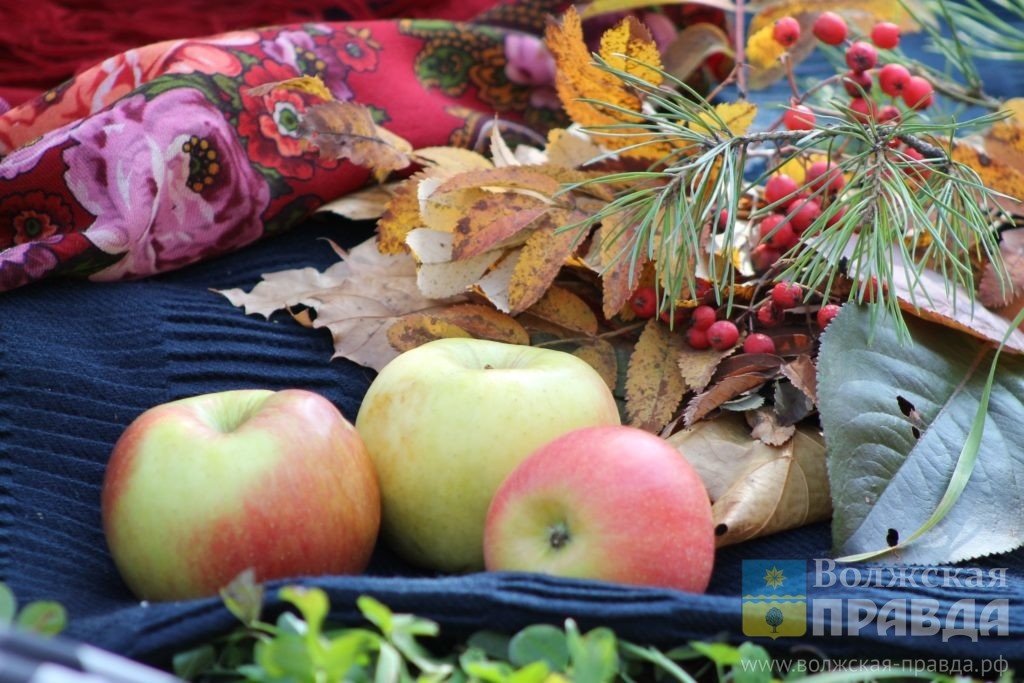     Иван Предтеча гонит птиц далече: традиции 11 сентября
