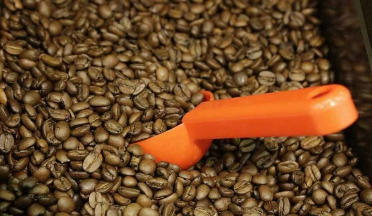     Кофе. Источник: spb.kp.ru Автор фото: Виктор Гусейнов