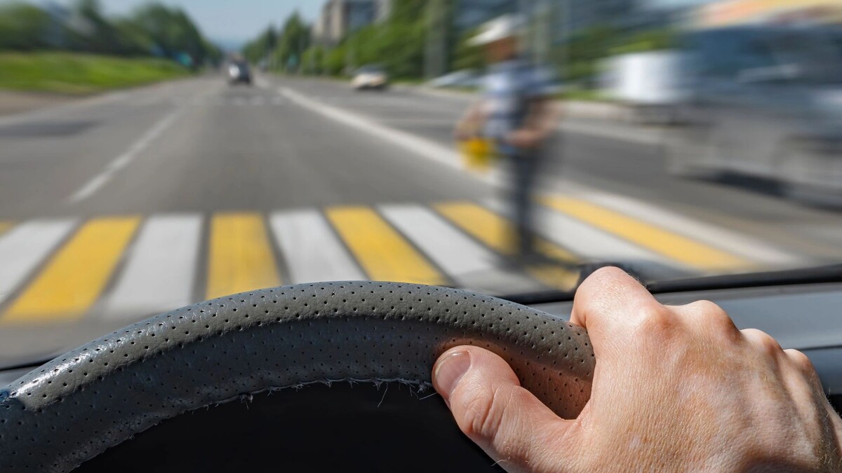    Фото: Evgeniy Medvedev/Shutterstock/Fotodom