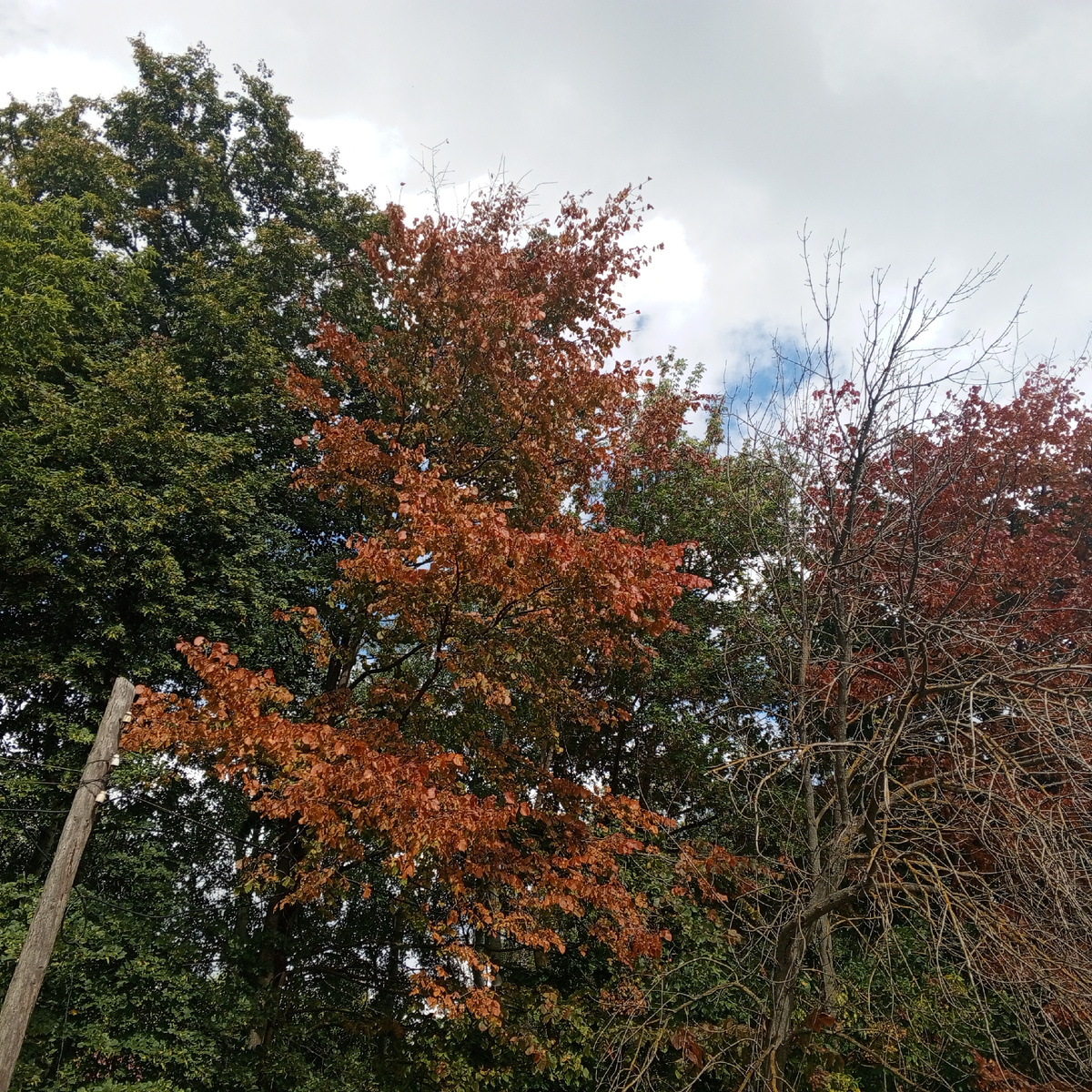 Личное фото автора