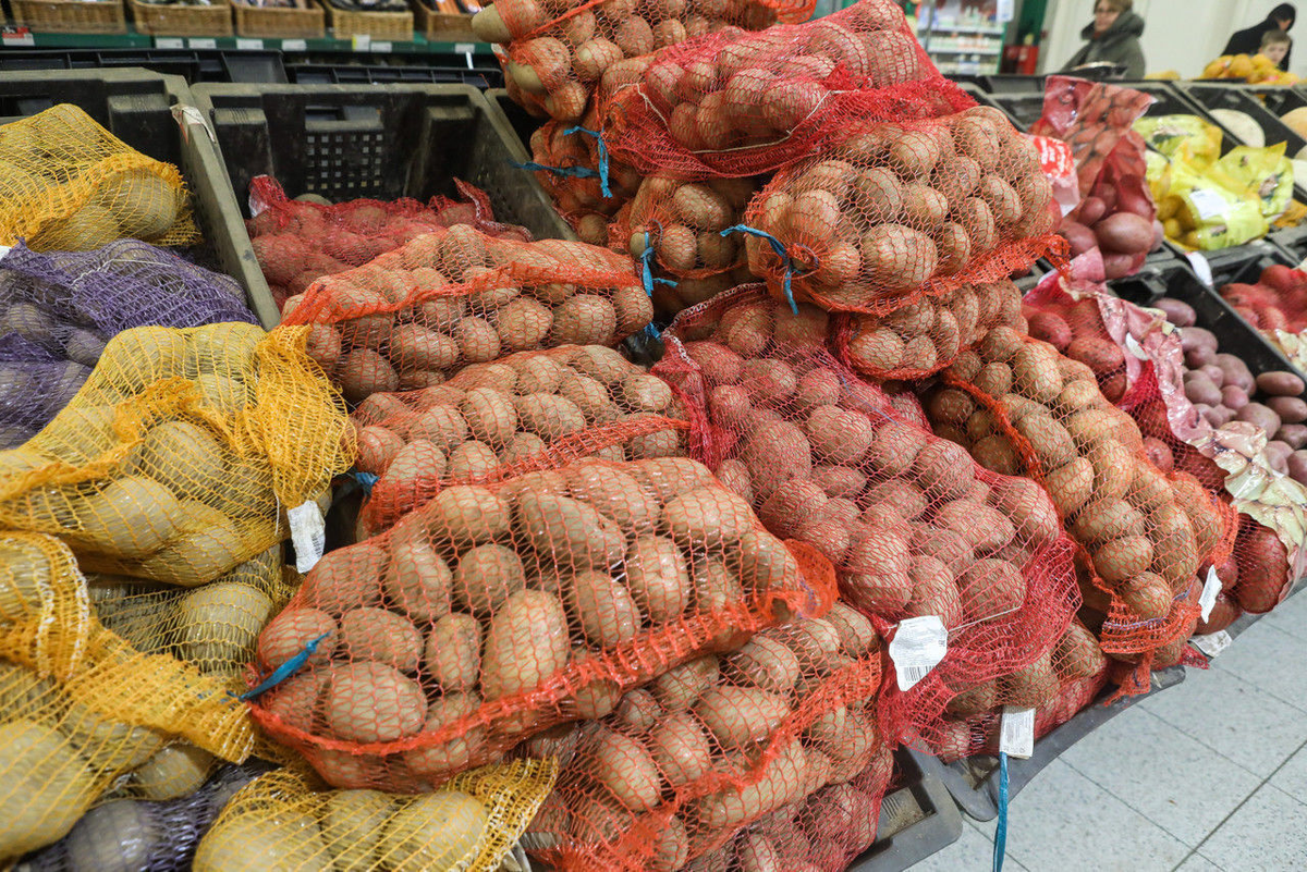 Роман Пименов / «Петербургский дневник»