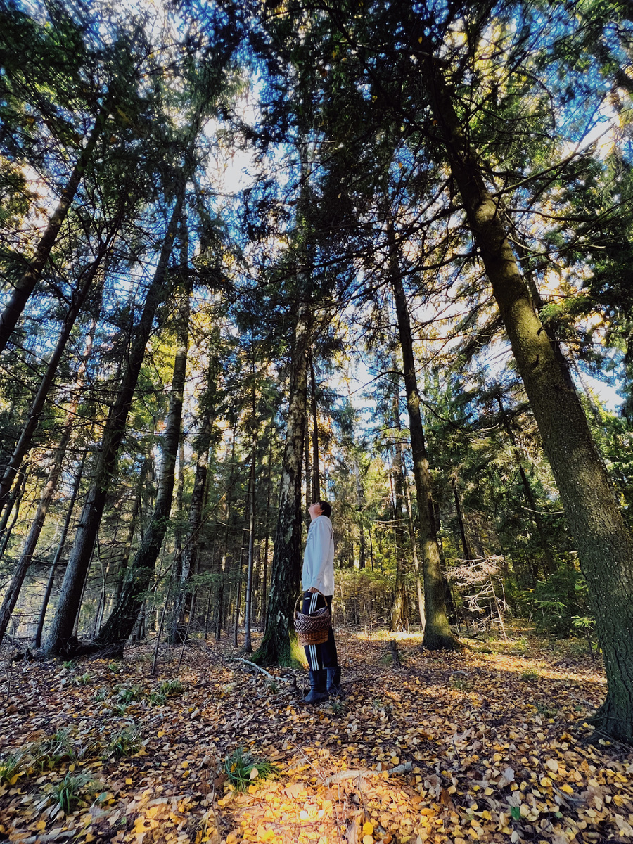 Автор: Алексей Моисеев / @partyzzzan