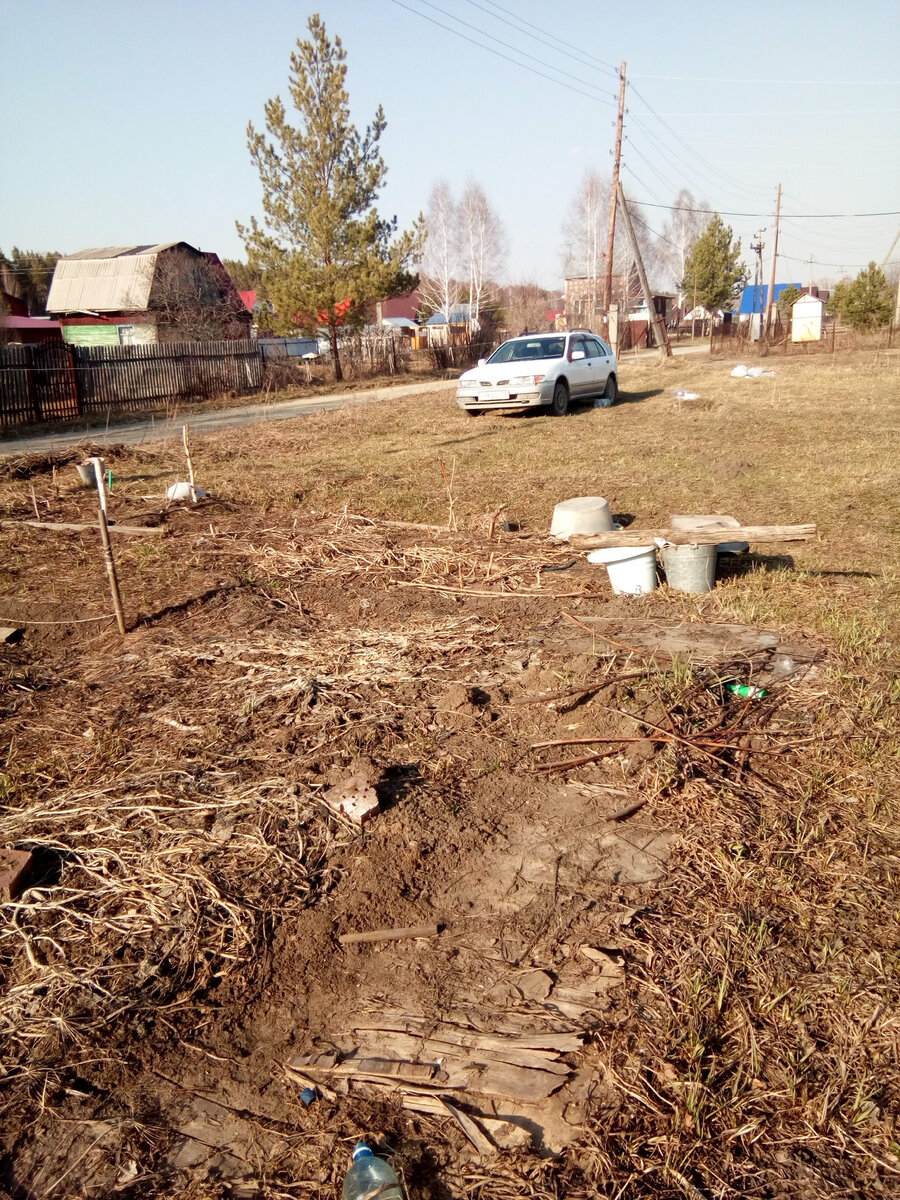 27 апреля 2022 года. Видите чеснок? А он есть! Колышек с веревкой - это она, чесночная грядка. На следующем фото увеличенный кусок грядки