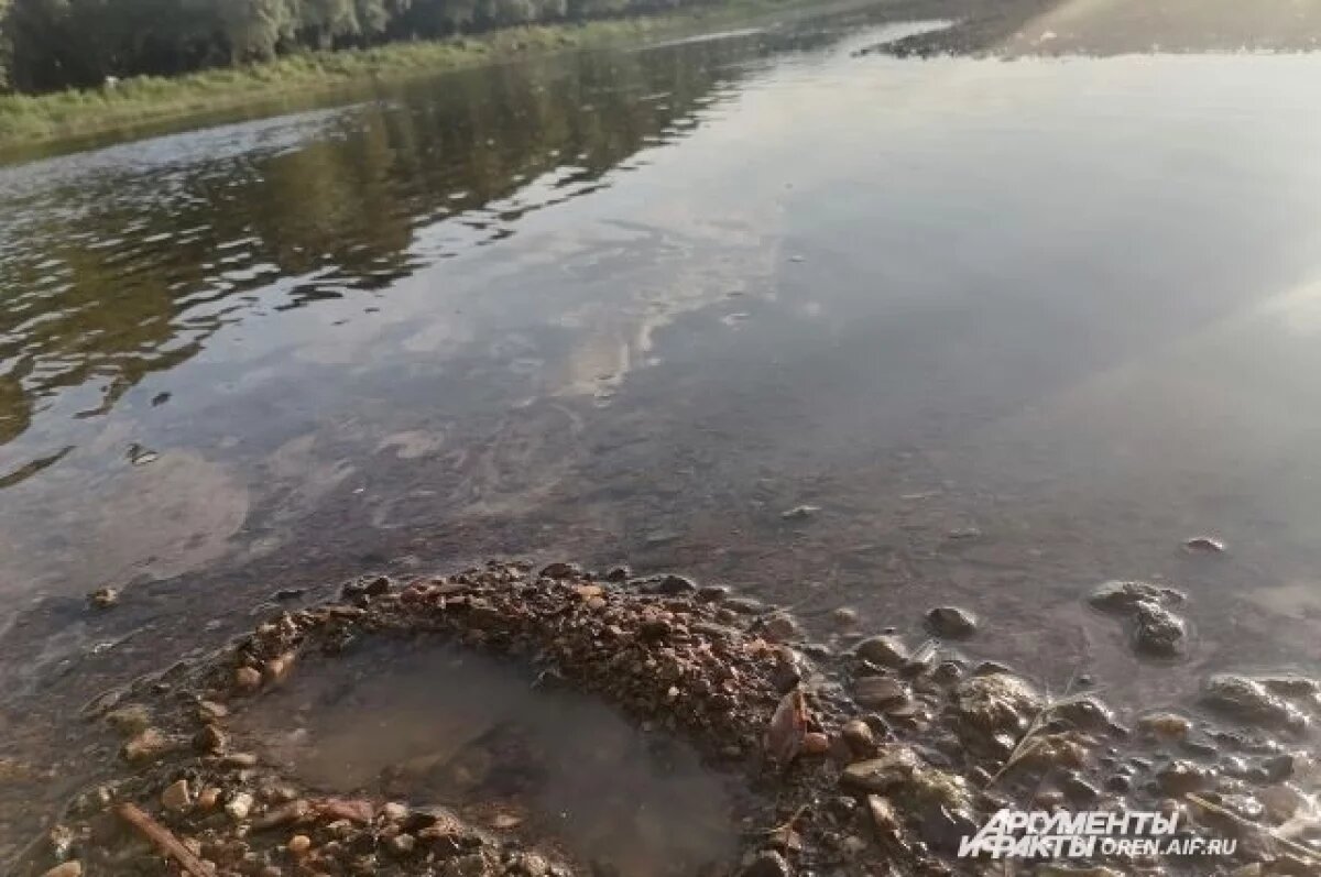    С начала года на водоемах Оренбуржья погибло 45 человек