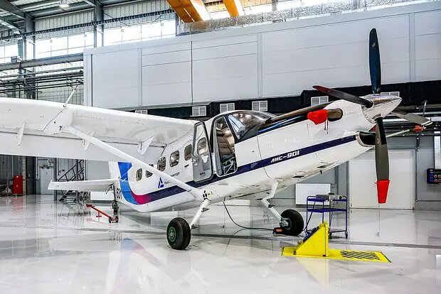    Фото: lenta.ru Полина Белоусова