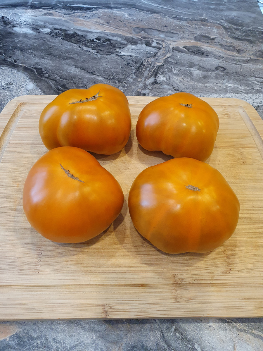 Гном Улуру Охра