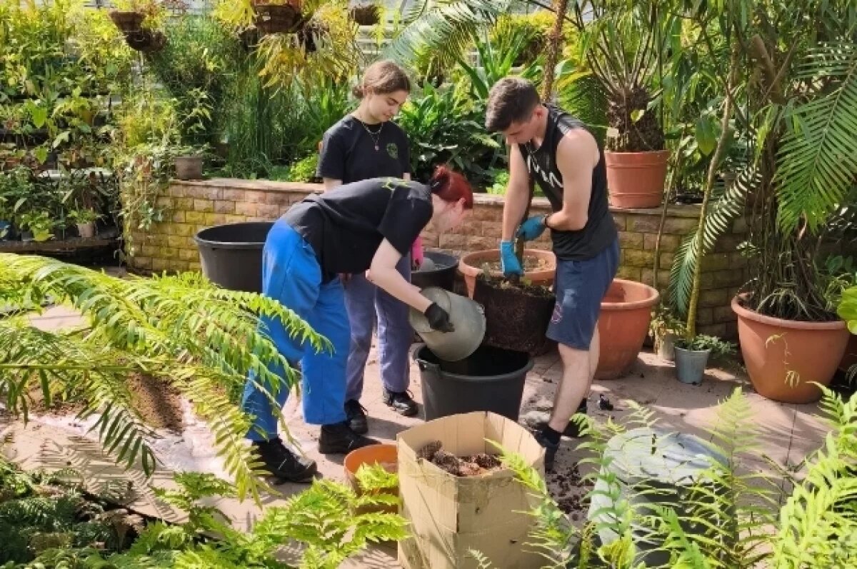    У студентов есть возможность пройти практику в ботаническом саду