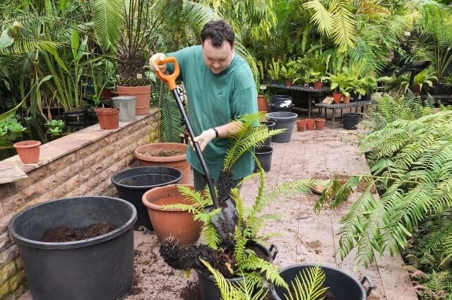    . У биолога всегда богатый урожай на дачном участке, здоровые домашние растения, он понимает, как устроена природа Фото: Ботанический сад ПГНИУ