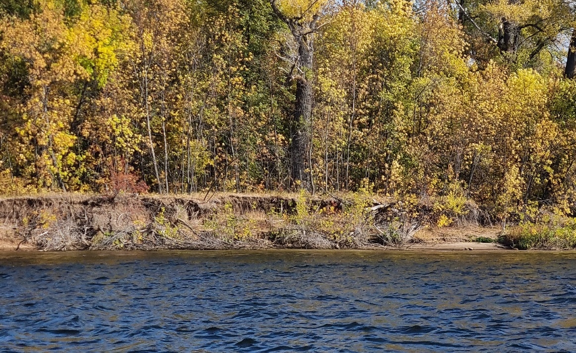    Лето на прощание: синоптики предупредили о короткой передышке перед первыми заморозками в некоторых регионах России