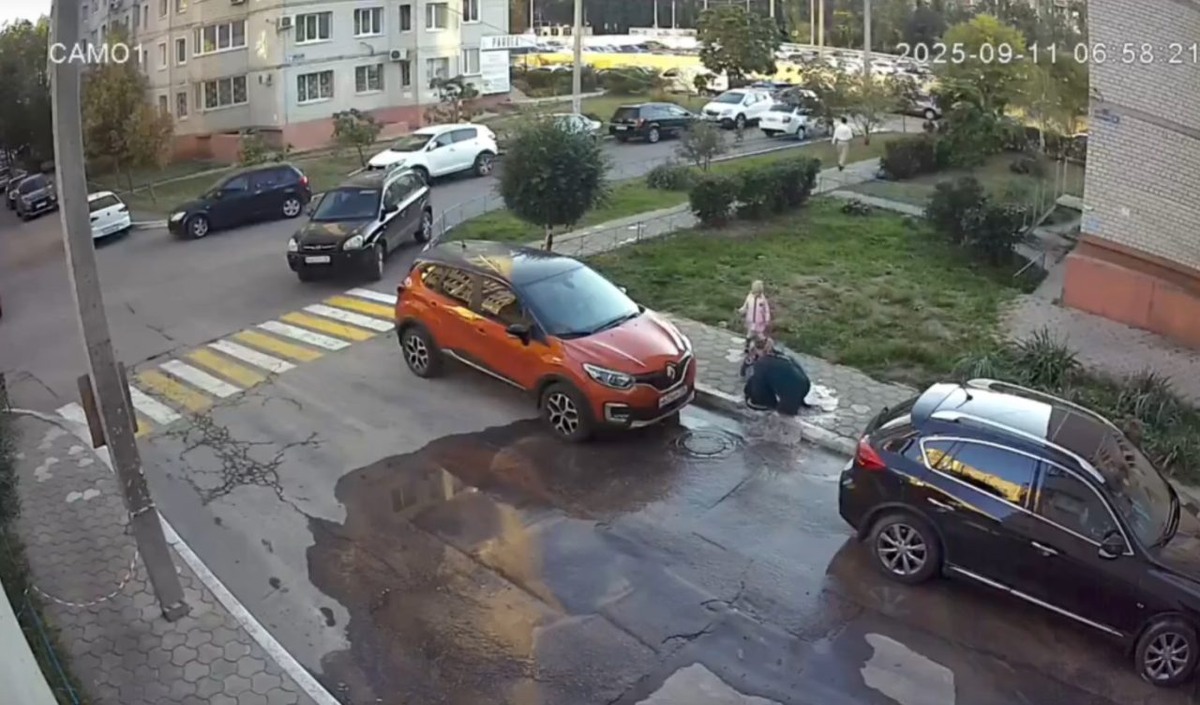     Фото: скрин видео