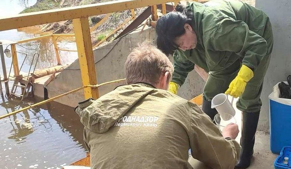    Фото: пресс-служба Росприроднадзора