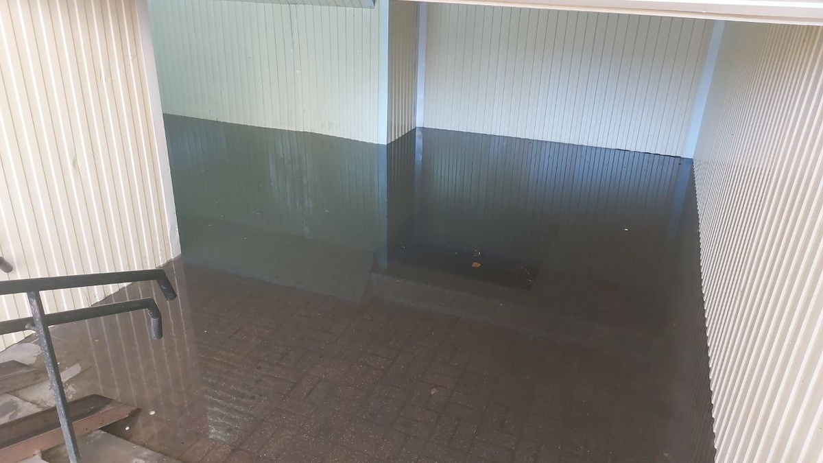 Фото: администрация г. Курска