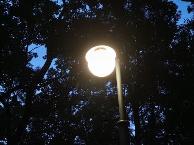    Фото: ГТРК "Карелия"