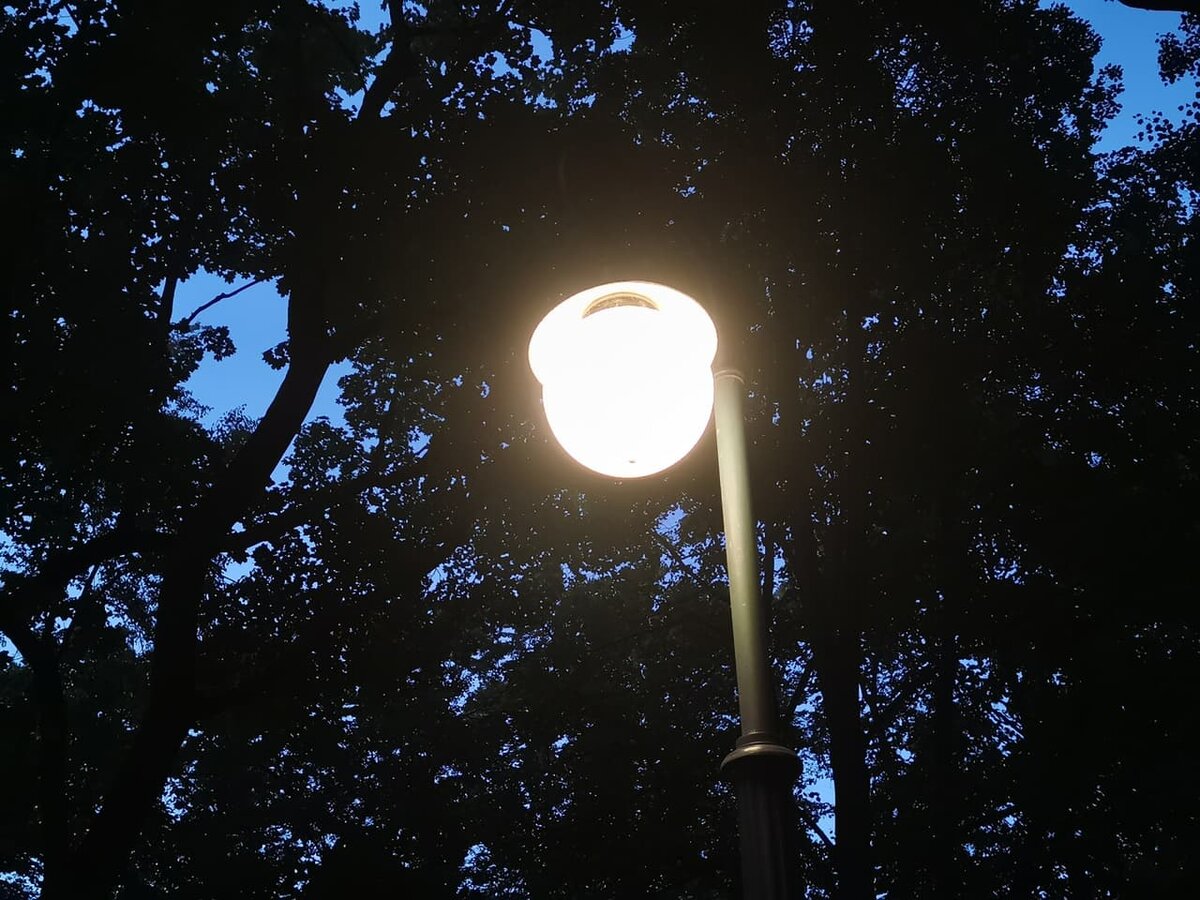    Фото: ГТРК «Карелия»