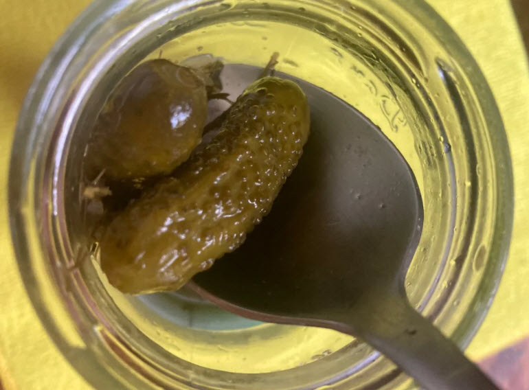 Фото: из открытых источников