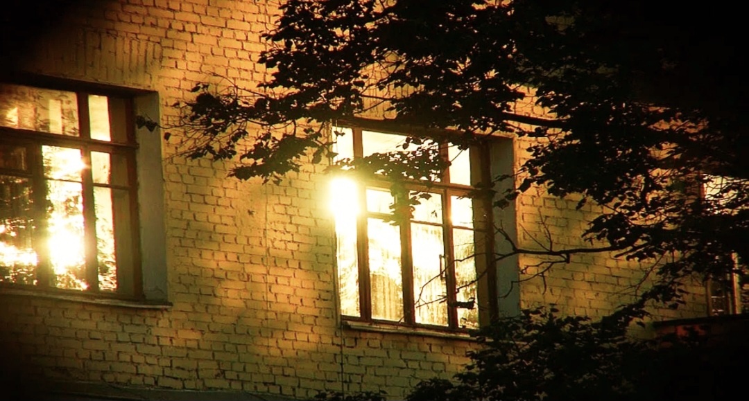 Фото Яндекс картинки