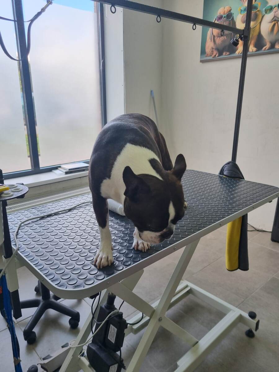 Ну пойдем уже отсюда, так я прочитала его поведение