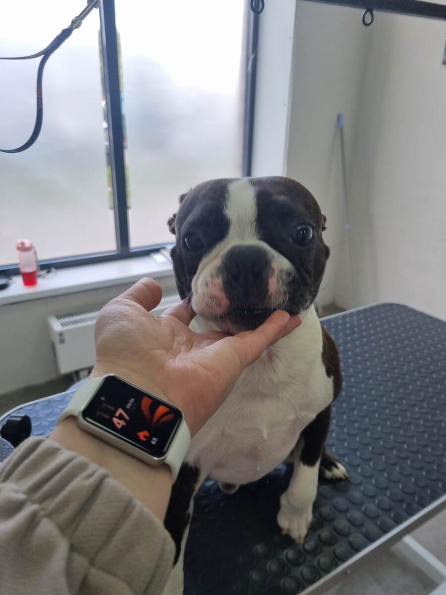 Стороит из себя несчстного