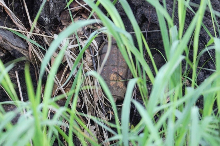    Фото из архива VN.ru