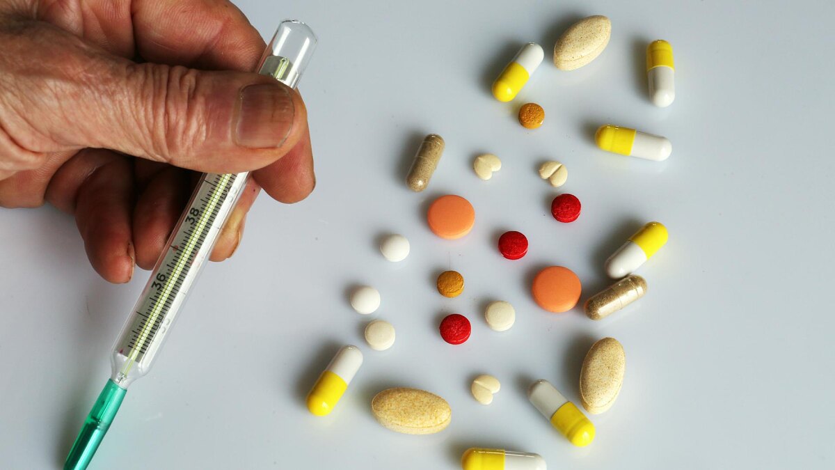 Фото: Nikolay Gyngazov/Global Look Press/globallookpress.com