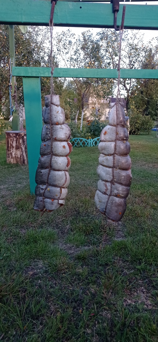 Личное фото автора