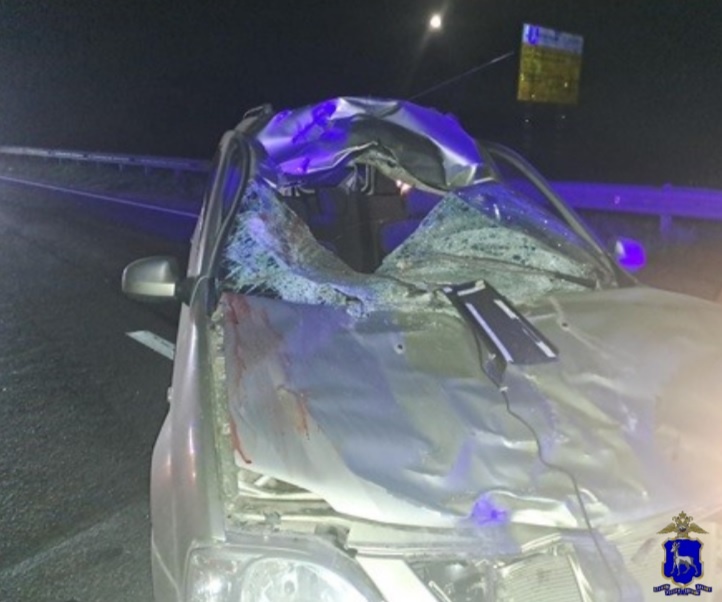    Фото: ГУ МВД по Самарской области