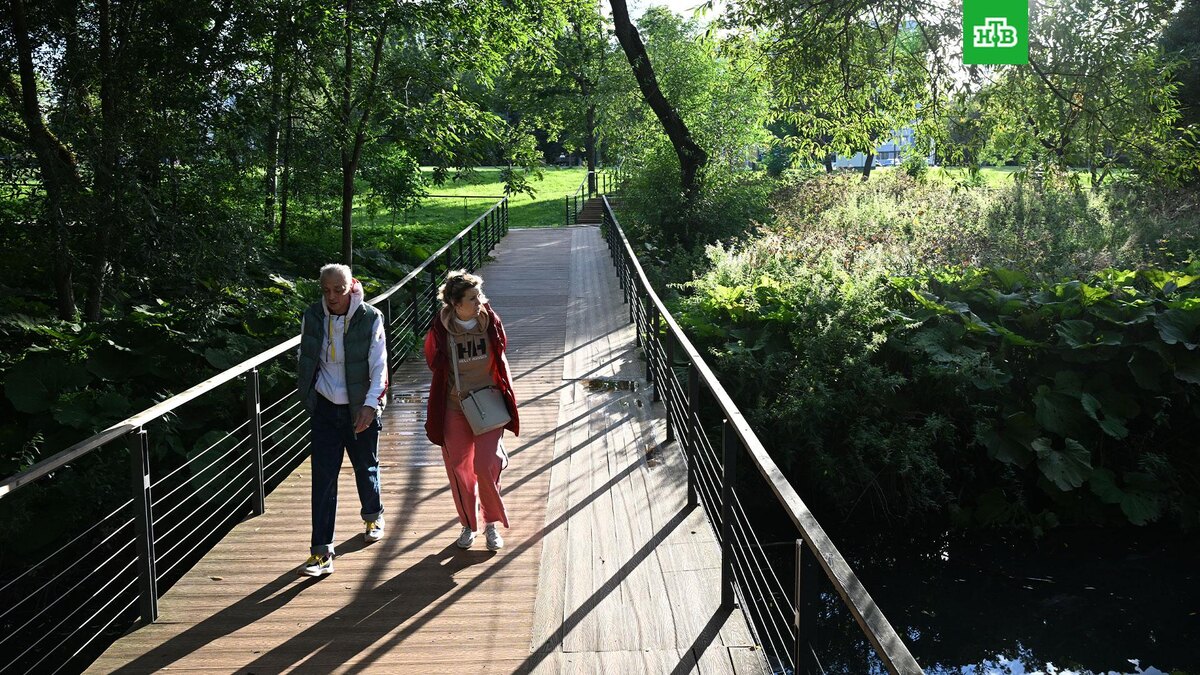    Фото: РИА Новости © 2025, Максим Блинов