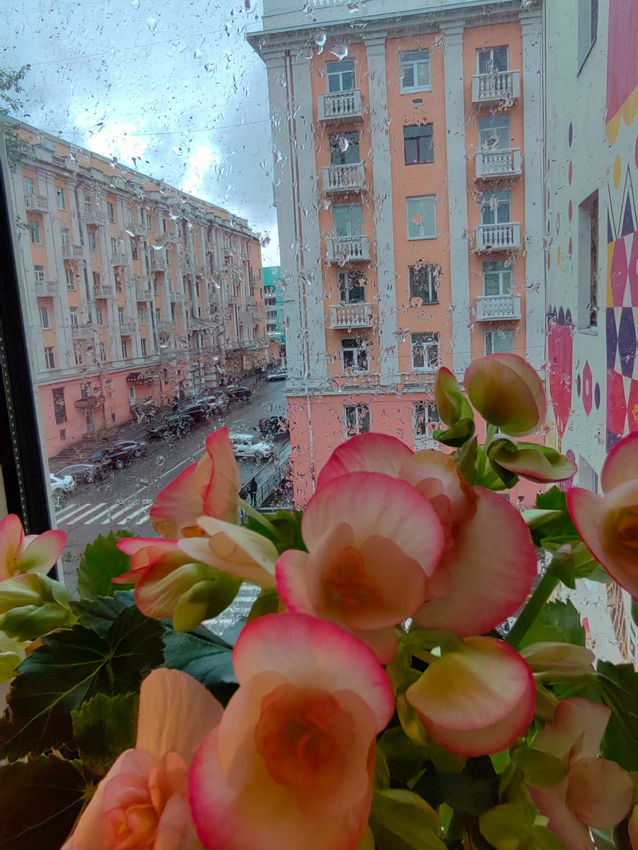 Фото сделано несколько дней назад