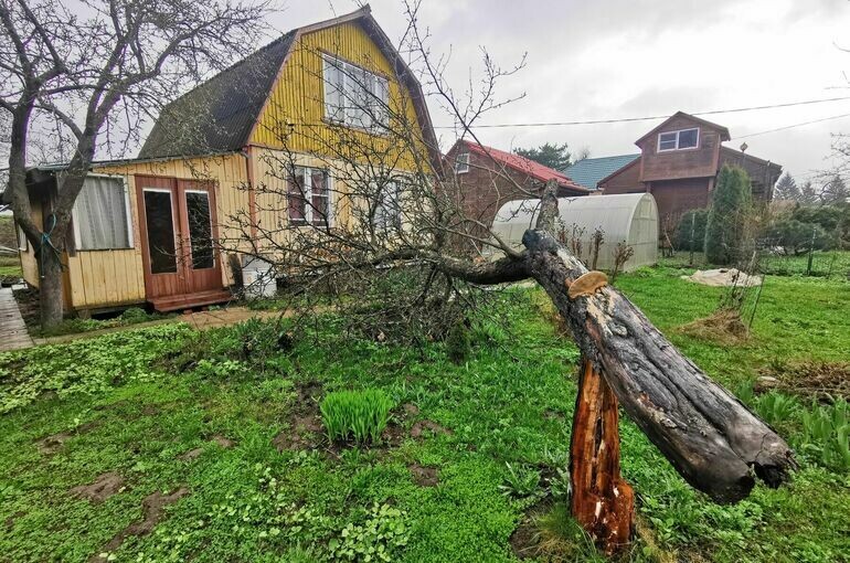   Игорь Самохвалов/ПГ