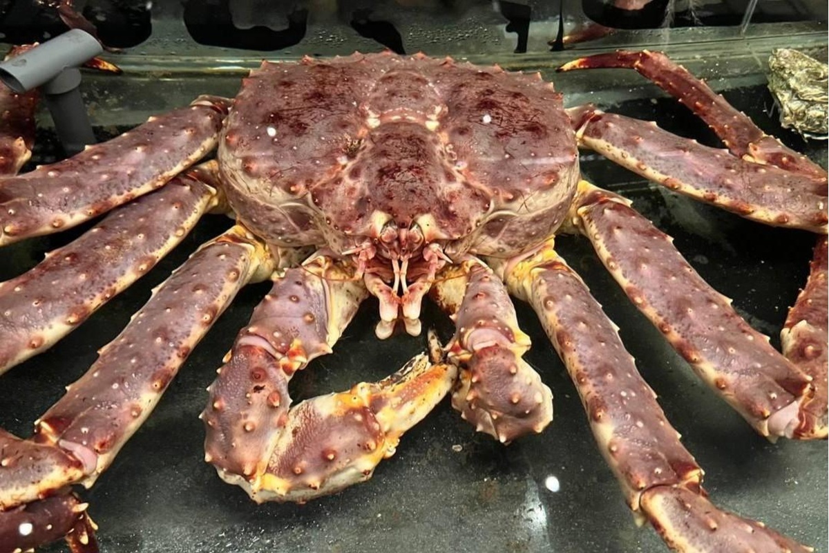    Фото: Александра Балаба, источник: 29.RU