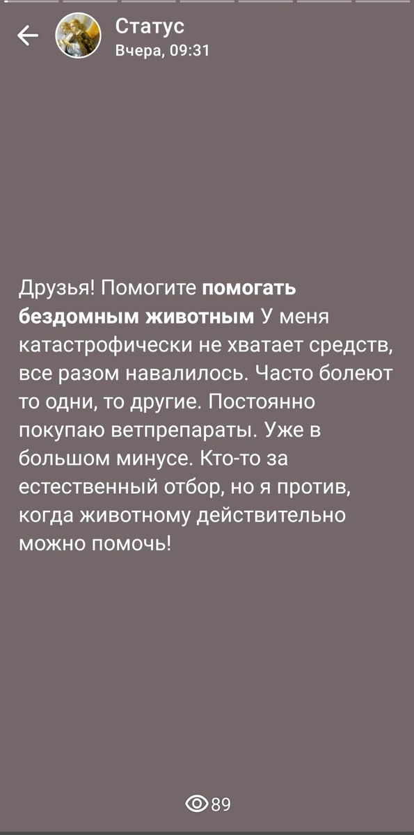Статус в вотсапе.