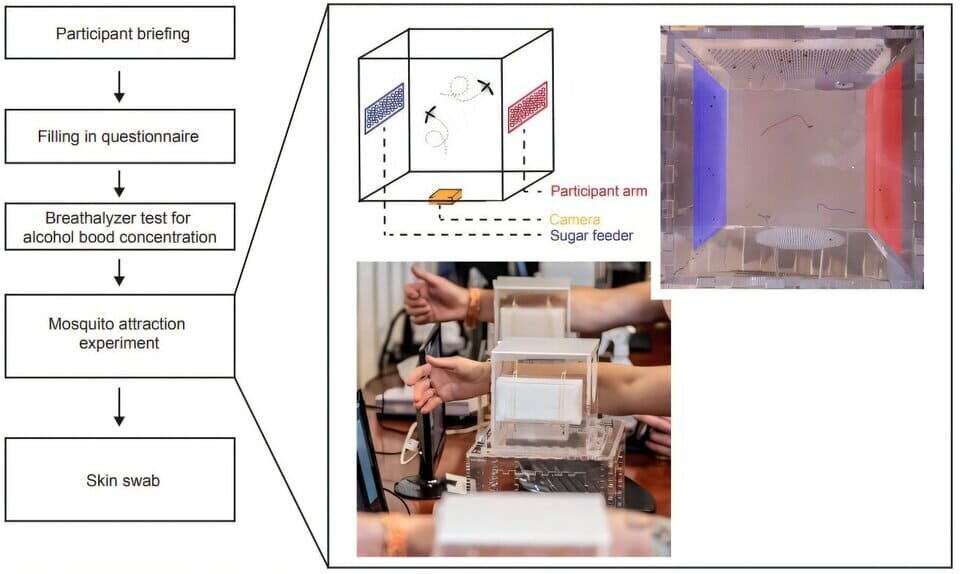  Felix J.H. Hol et al. / bioRxiv.org