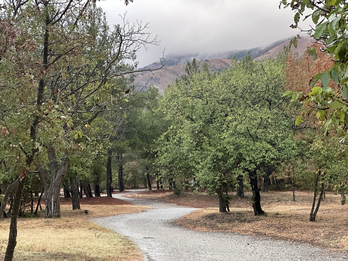 Тропинки парка