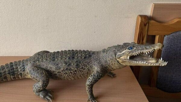    © Photo : Telegram / Милиция Минска