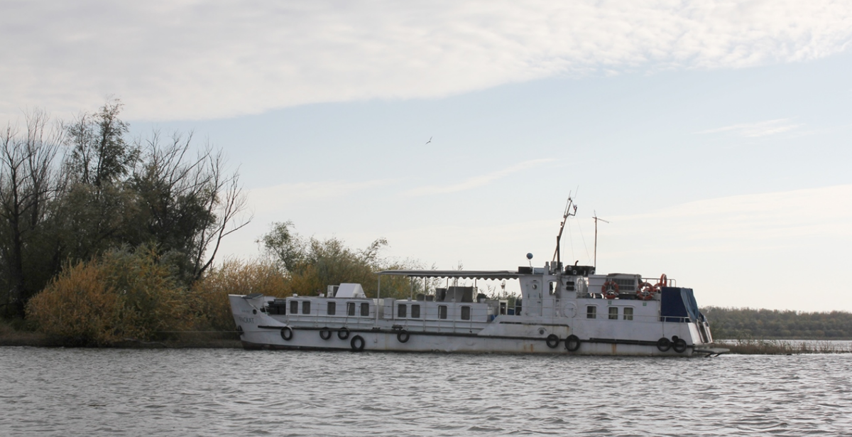    Фото: kaspnirh.vniro.ru