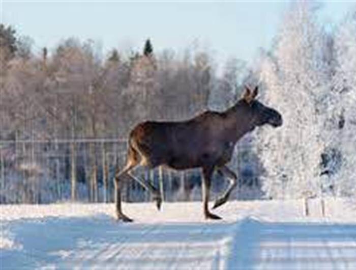   ФОТО: Прокуратура Самарской области