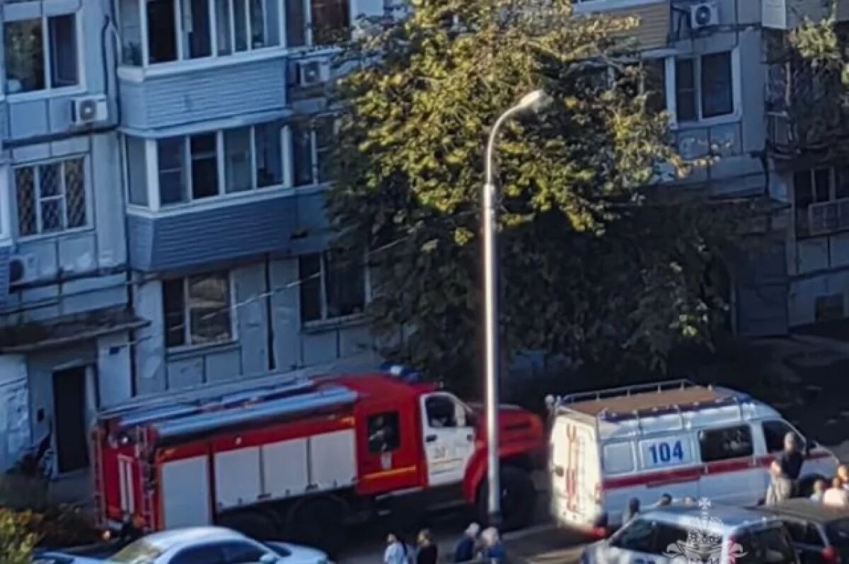    В Хабаровске при пожаре спасли 5 человек и 10 кошек