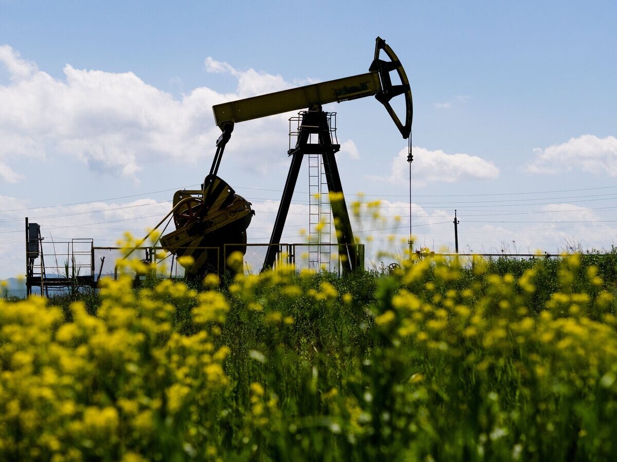    Нефтяные станки-качалки© РИА Новости . Виталий Тимкив