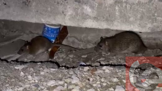    Фото: читатели "Прецедента"