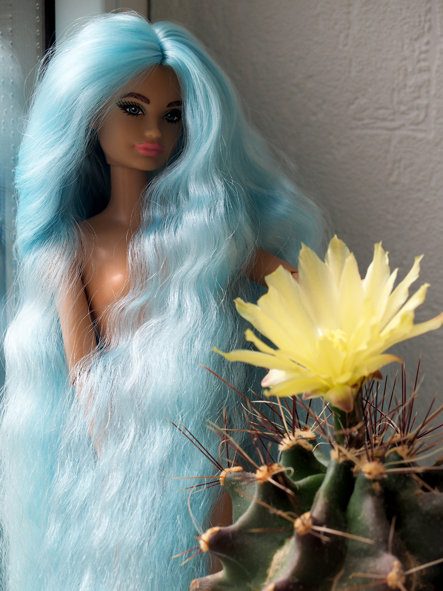 Barbie Extra Deluxe Скиппер, перепрошитая ангорой.