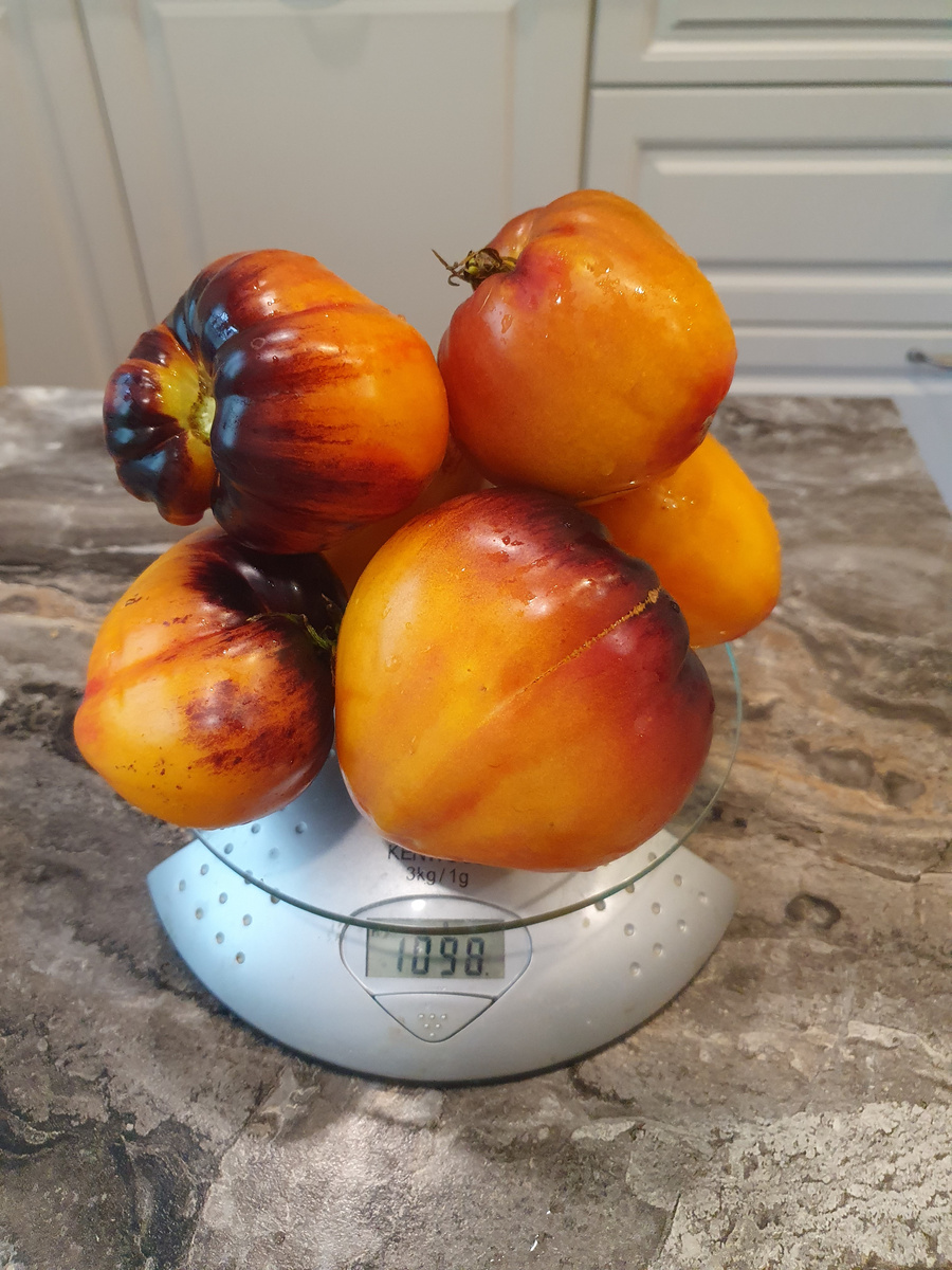 Ананасовый сержант