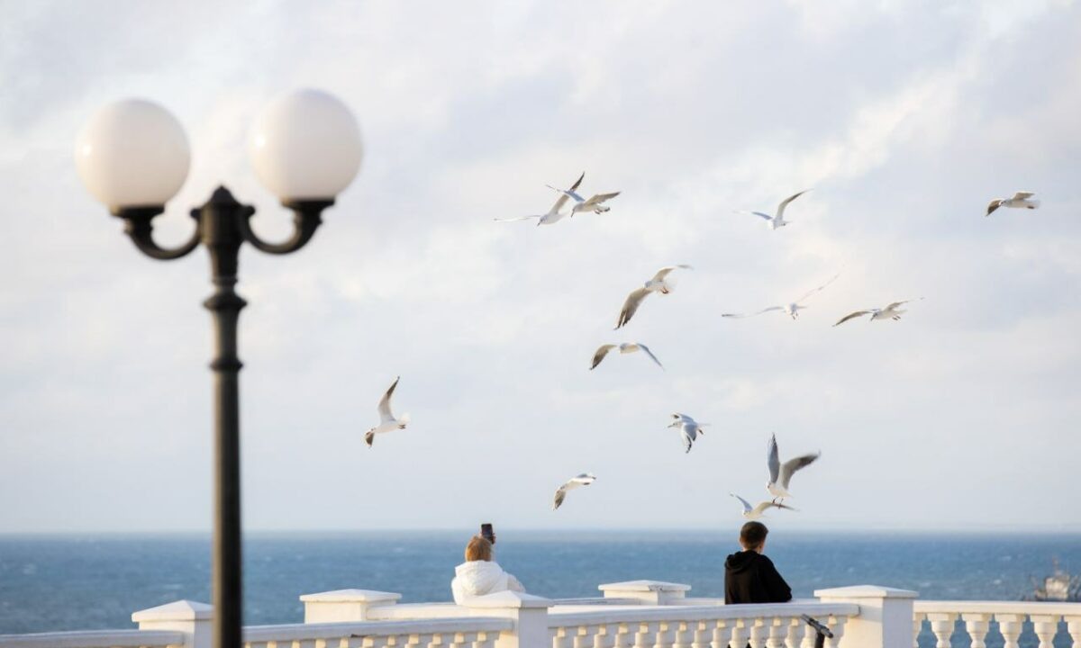    Фото t.me/anapaofficial